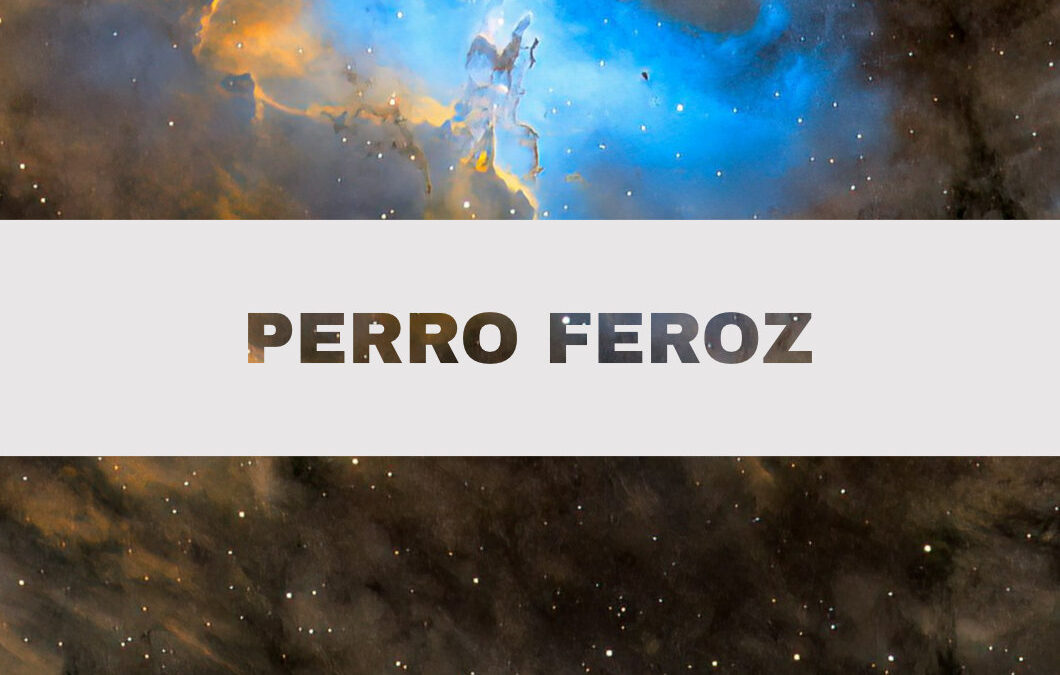 23 Perro feroz