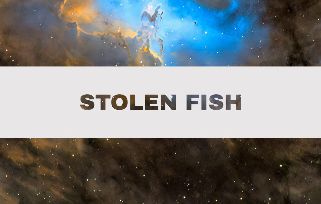 28 Stolen fish